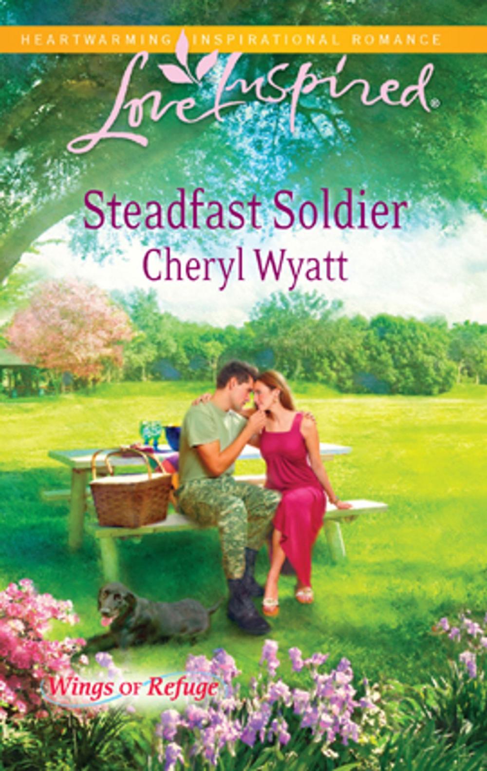 Big bigCover of Steadfast Soldier