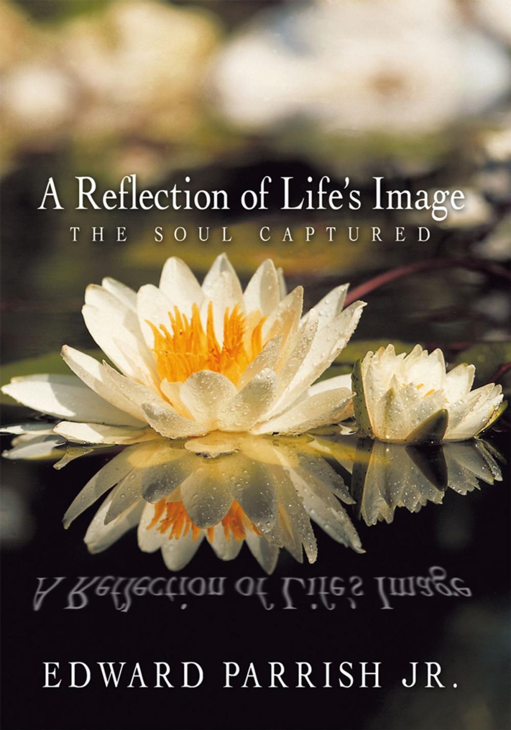 Big bigCover of A Reflection of Life’S Image