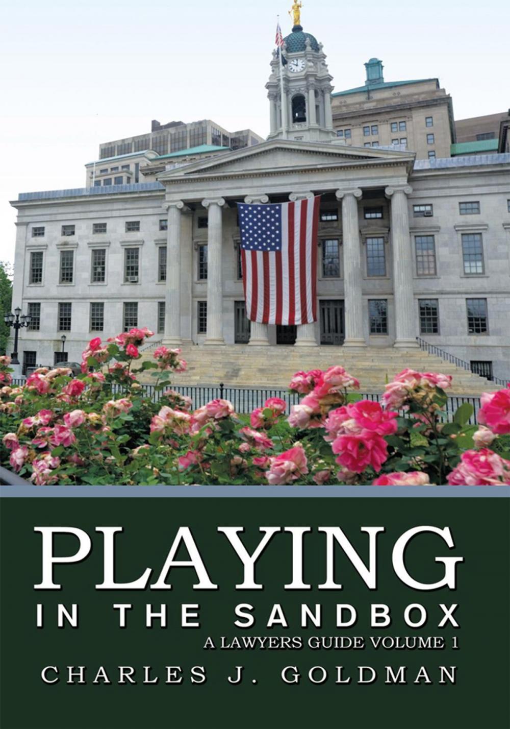Big bigCover of Playing in the Sandbox