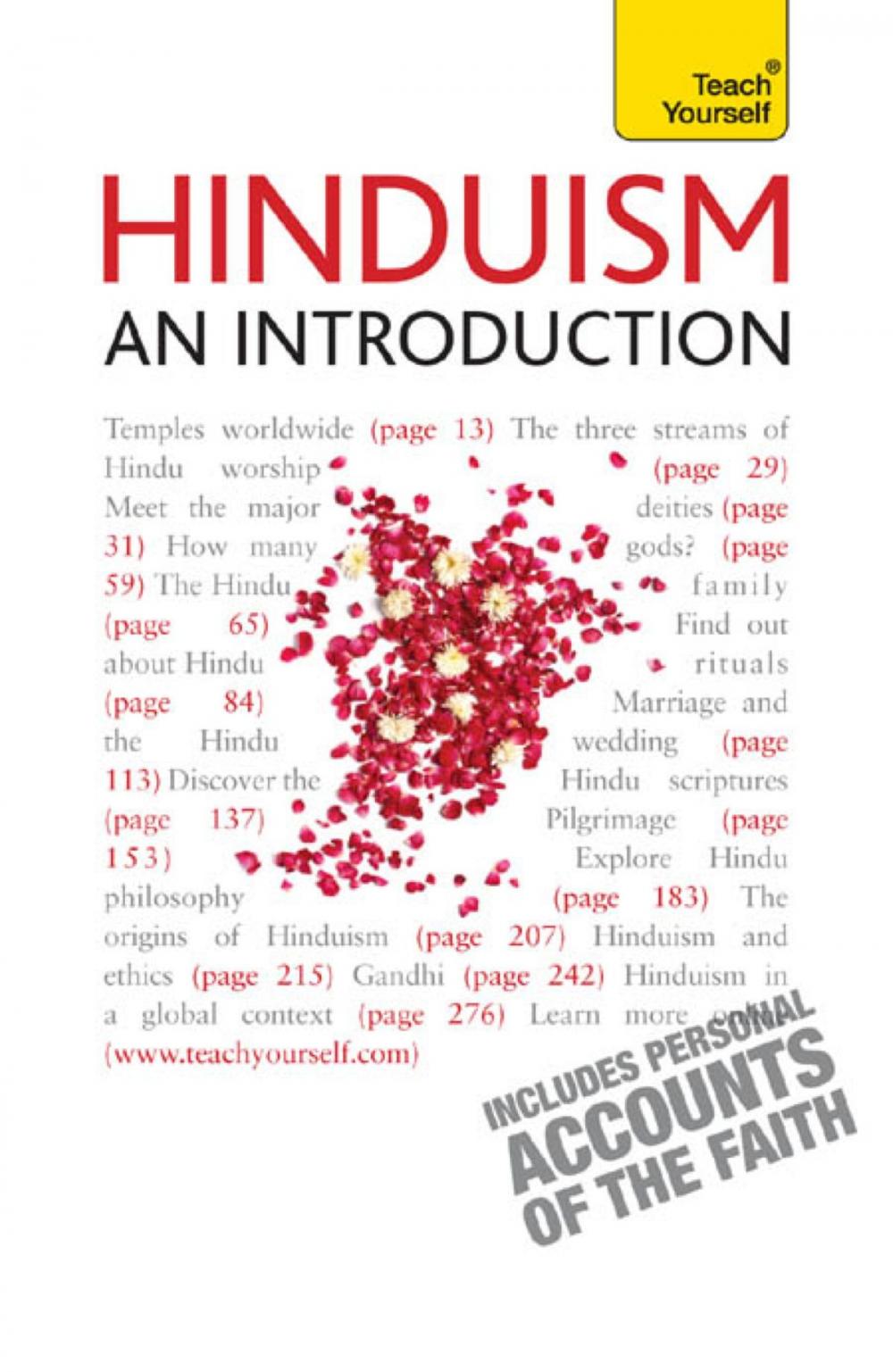 Big bigCover of Hinduism - An Introduction