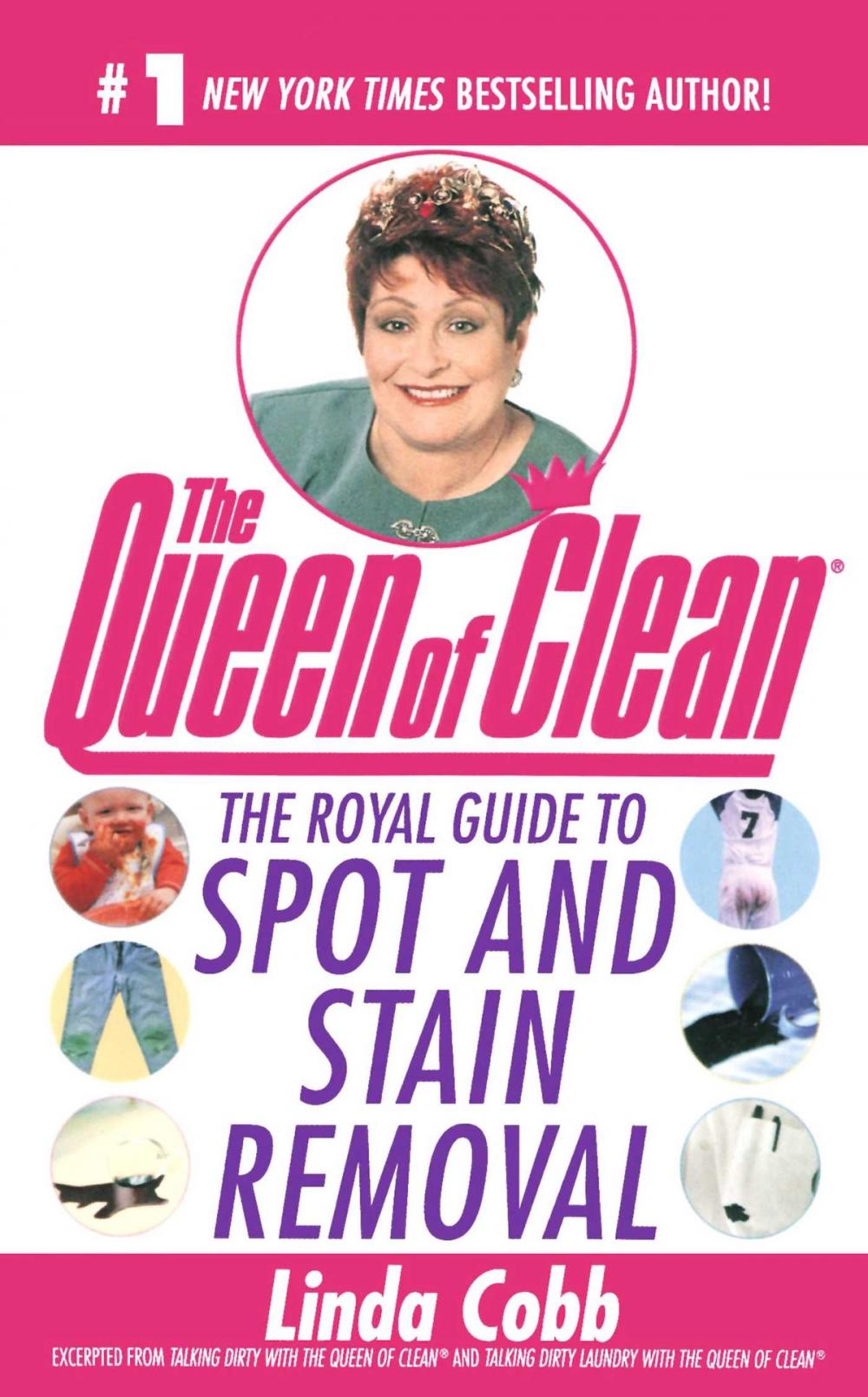 Big bigCover of The Royal Guide to Spot and Stain Removal