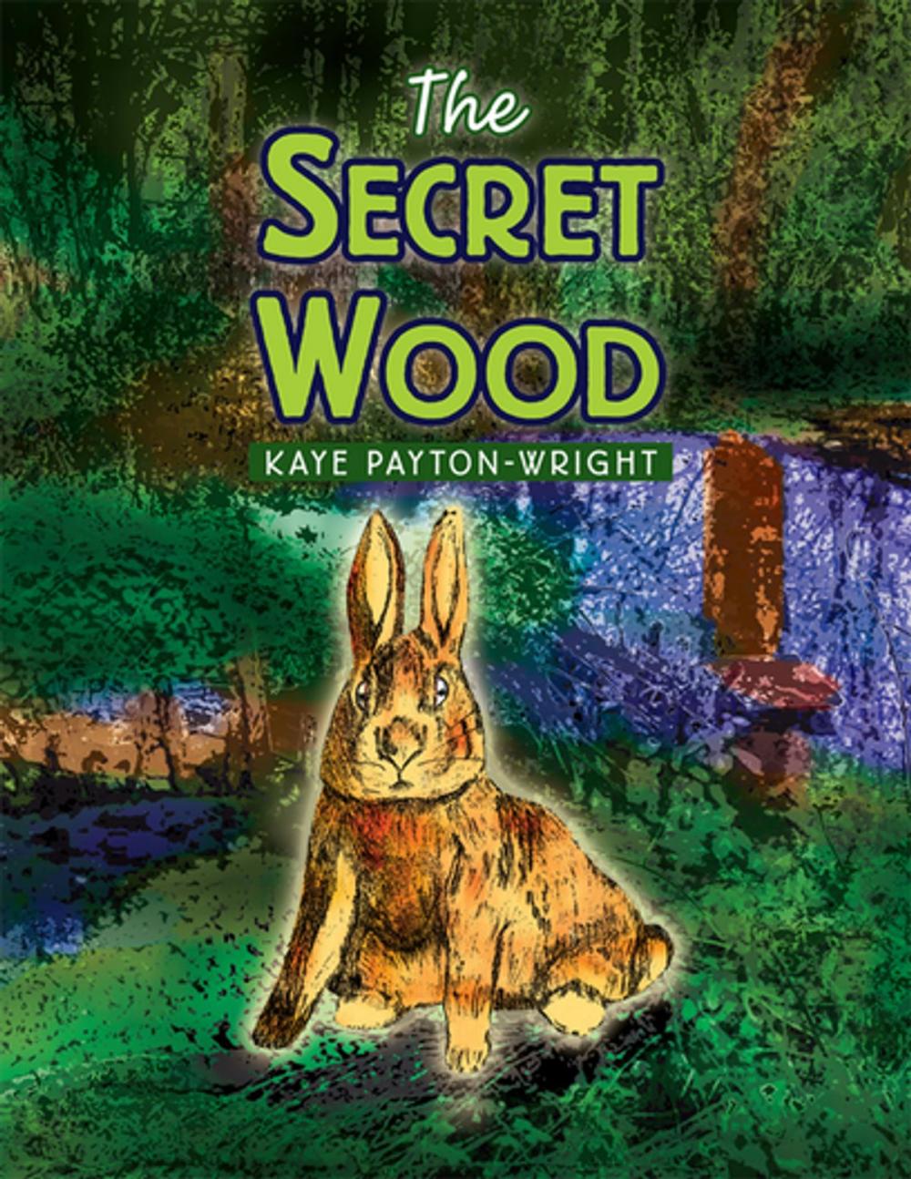 Big bigCover of The Secret Wood