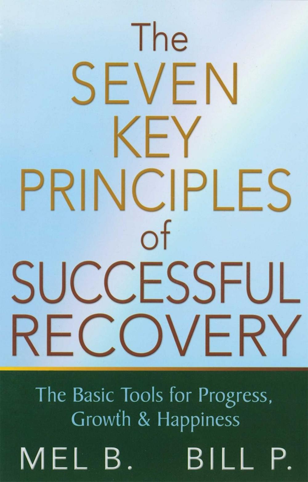 Big bigCover of The 7 Key Principles of Successful Recovery