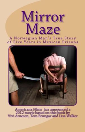 Cover of the book Mirror Maze by Hakan Öge