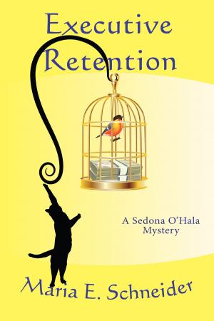 Cover of the book Executive Retention by Tess Mackenzie