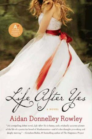Cover of the book Life After Yes by Gardner Dozois, Jonathan Strahan