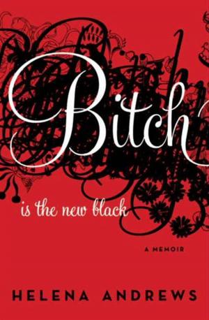 Cover of the book Bitch Is the New Black by Robert Bly