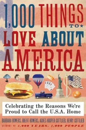 Book cover of 1,000 Things to Love About America