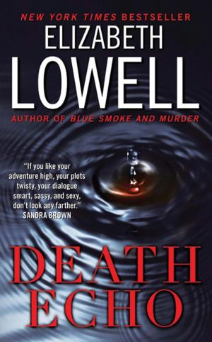 Cover of the book Death Echo by Michele Hauf, Tina Folsom