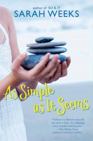 Book cover of As Simple as It Seems