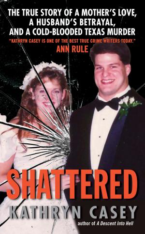 Cover of the book Shattered by Lucy O'Brien