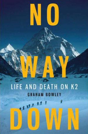 Cover of the book No Way Down by Donna Fletcher