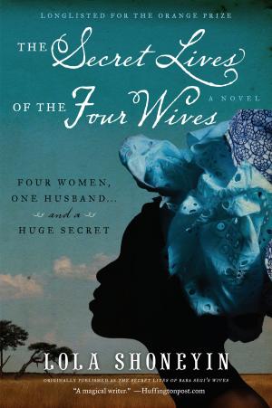 bigCover of the book The Secret Lives of the Four Wives by 