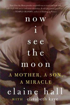 Cover of the book Now I See the Moon by Anne George