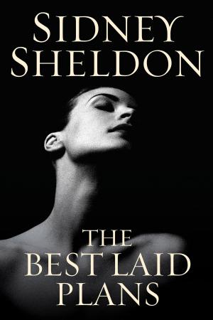 Cover of the book The Best Laid Plans by Shana Galen