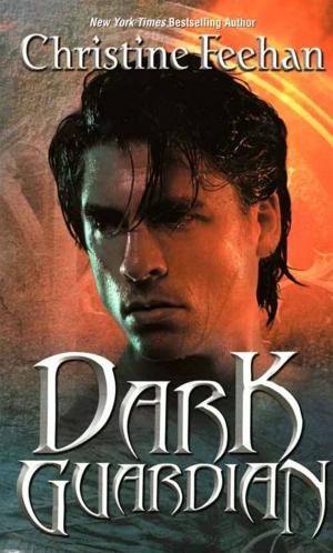 Book cover of Dark Guardian