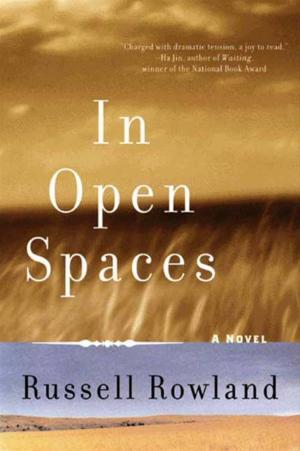 Cover of the book In Open Spaces by Barbara Michaels