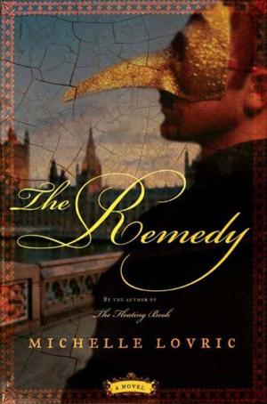Cover of the book The Remedy by Jefferson Bass