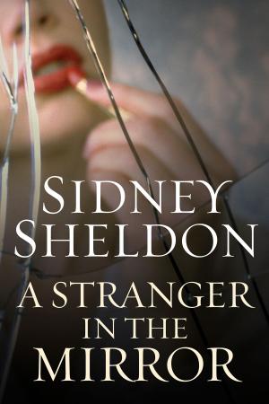 Cover of the book A Stranger in the Mirror by Ben Ferguson