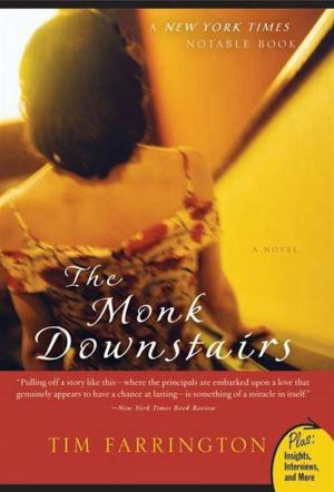 Cover of the book The Monk Downstairs by David Gibson