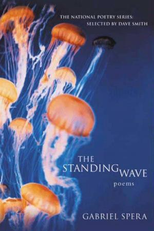 Cover of the book The Standing Wave by Paige Rawl, Ali Benjamin, Jay Asher
