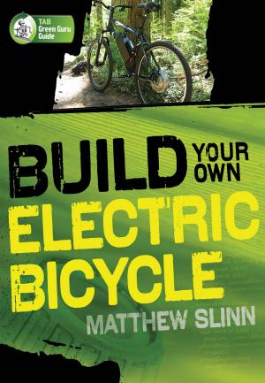 Cover of the book Build Your Own Electric Bicycle by Robert E. Moyer, Frank Ayres Jr.