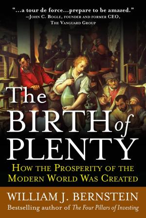 Cover of the book The Birth of Plenty: How the Prosperity of the Modern Work was Created by Curtis Faith