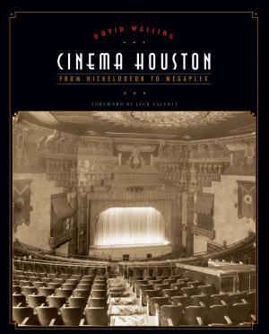 Cover of the book Cinema Houston by Natalie M. Underberg, Elayne Zorn