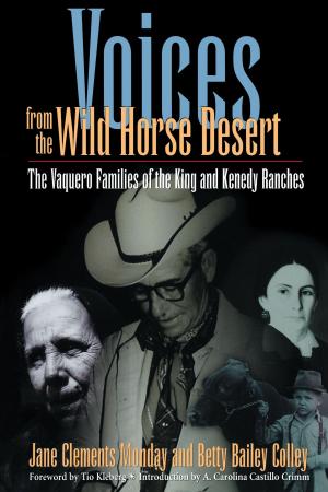 Cover of the book Voices from the Wild Horse Desert by David Cantwell