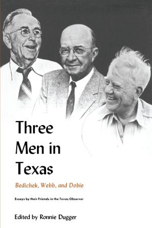 Cover of the book Three Men in Texas by James Allan Evans