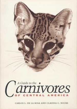 Cover of the book A Guide to the Carnivores of Central America by 