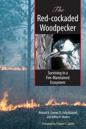 Book cover of The Red-cockaded Woodpecker