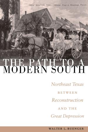 Cover of the book The Path to a Modern South by Kenneth E. Boulding