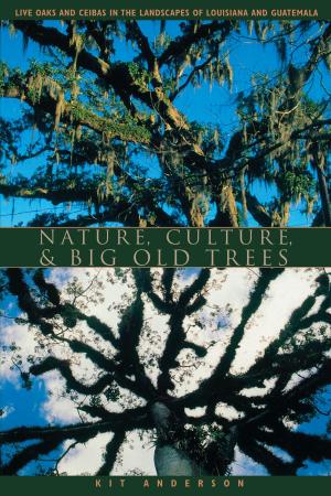 Cover of the book Nature, Culture, and Big Old Trees by Sue Tolleson-Rinehart, Jeanie R. Stanley