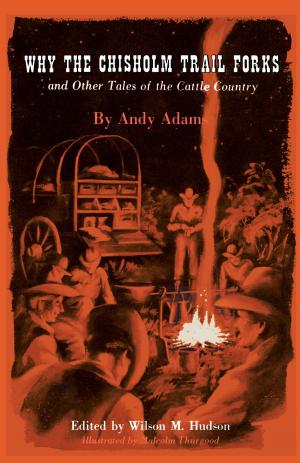 Cover of the book Why the Chisholm Trail Forks and Other Tales of the Cattle Country by Roy Bedichek