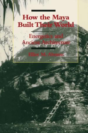Cover of the book How the Maya Built Their World by Jason Mellard