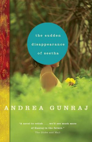 bigCover of the book The Sudden Disappearance of Seetha by 
