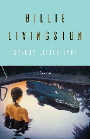 Cover of the book Greedy Little Eyes by Silken Laumann