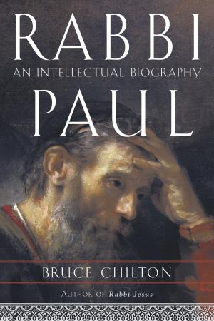 Book cover of Rabbi Paul