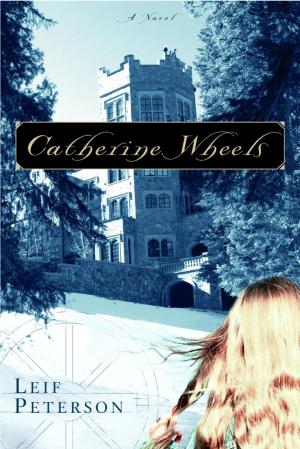 Cover of the book Catherine Wheels by Liz Curtis Higgs