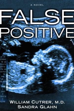 Cover of the book False Positive by Shaunti Feldhahn
