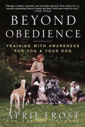 bigCover of the book Beyond Obedience by 