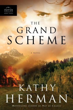 Cover of the book The Grand Scheme by Robin Jones Gunn