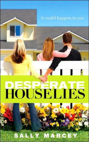 Cover of the book Desperate House Lies by Paddy McMahon