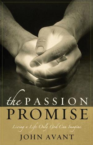 Cover of the book The Passion Promise by Philip Gulley