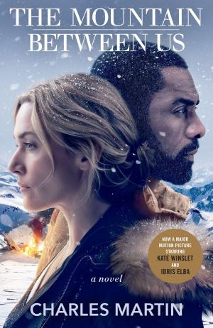Cover of the book The Mountain Between Us by Scarlet Wolfe