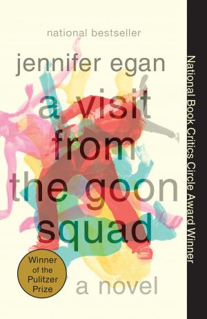 Book cover of A Visit from the Goon Squad