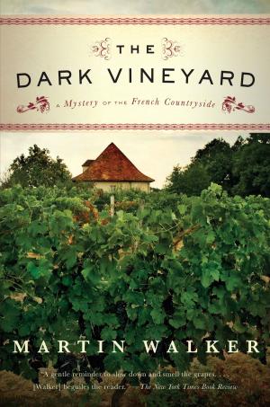 Book cover of The Dark Vineyard