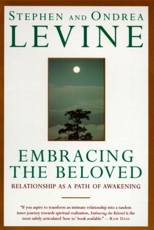 Book cover of Embracing the Beloved