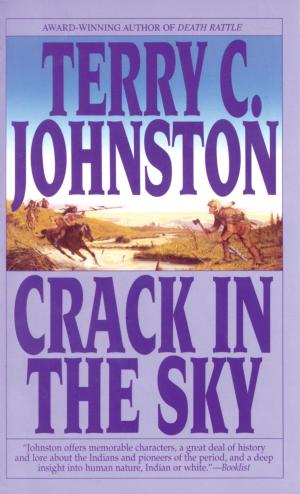 Cover of the book Crack in the Sky by Kim Stanley Robinson